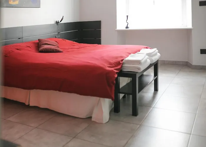 Auri\'S House